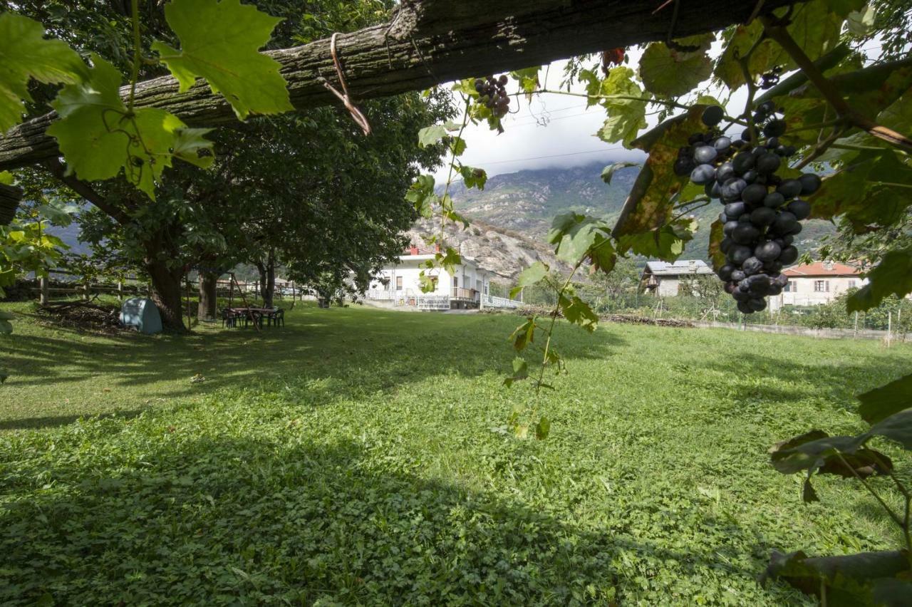 Mansarda plein soleil Villa Donnaz Eksteriør billede